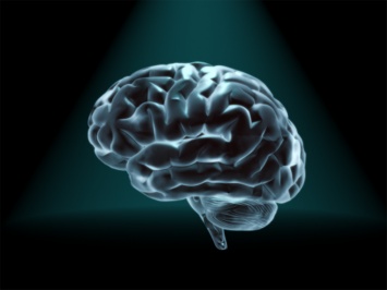 Ученые разработали модель мозга для оценки болевых ощущений