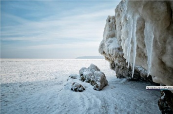 Зимний пейзаж: льдины, море и кот