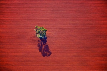 Фотограф превратил фермерские поля в Австралии в объекты искусства