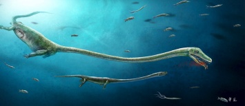 Ученые обнаружили окаменелого динозавра накануне живорождения