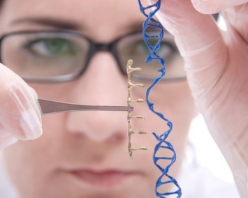 В США разрешили редактирование генома человеческих эмбрионов