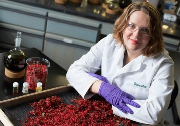 Ученые хотят побороть супербактерию ягодами