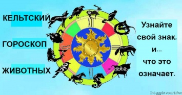 Вот знаки Зодиака по календарю древних Кельтов! Кто по нему Вы?