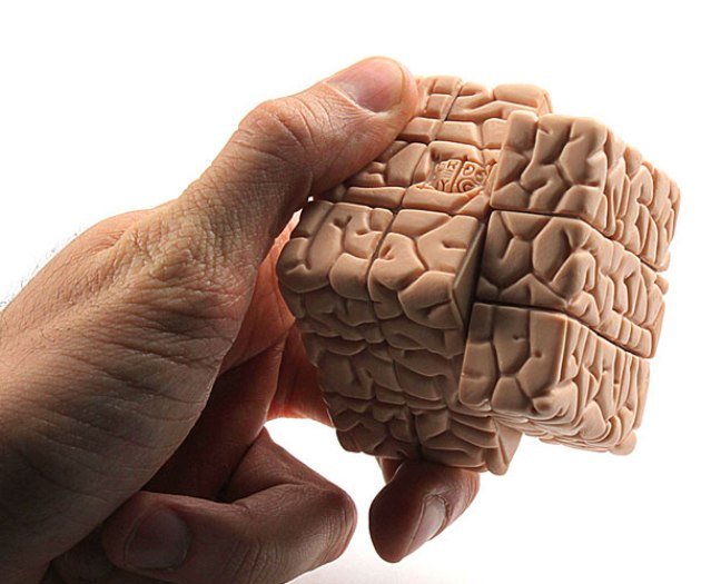 В Австралии ученые напечатали на 3D принтере ткань головного мозга