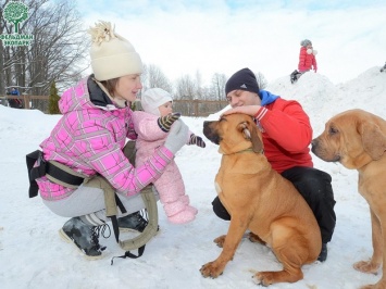Играем с титулованными собаками и готовим леденцы: харьковчан приглашают на выходные в экопарк
