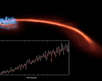 Российские астрофизики рассказали о звездах, попавших в черные дыры