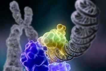 Редактура генов позволит лечить рак