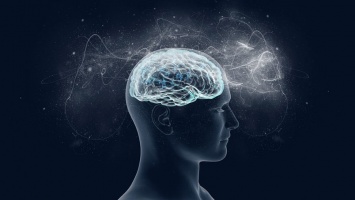 Ученые просят людей с психическими расстройствами отдать свой мозг науке