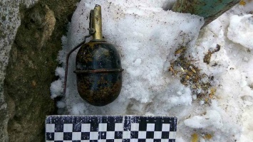 Опять граната, только теперь в Вознесенске: ее бросили во двор местного жителя