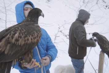Двух редких диких птиц спасли на Прикарпатье