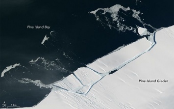 От ледника в Антарктике откололся огромный айсберг: появились впечатляющие фото