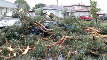 Катастрофа в США: в Калифорнии бушует ураган, есть погибшие. Появились фото