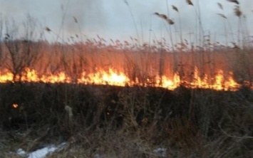 Весна еще не пришла, а сухостои уже горят - за прошлые сутки 5 пожаров в экосистемах области
