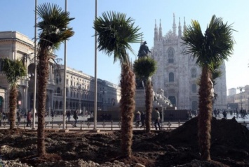 В Милане ультраправые против "африканизации площади", сожжено три пальмы