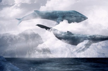 Охота на «Синих китов»: семь советов родителям