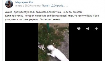 В Харьковской области будут судить девушку за видео мученической смерти котенка