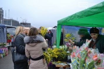 В Каменском откроются цветочные ярмарки