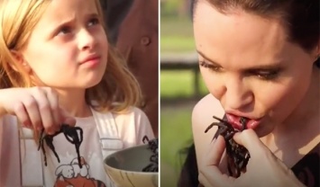 Джоли накормила детей тарантулами