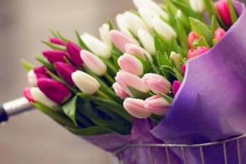 К Международному женскому дню в Мирнограде пройдет ярмарка цветов
