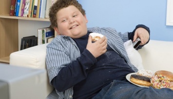 Ученые провели исследования по выявлению причин ожирения у детей