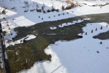Вода в реке Остер Козелецкого района естественного цвета без посторонних примесей и запаха, - экологи