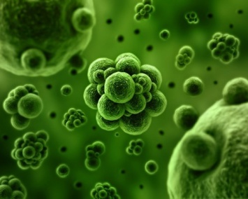 Ученые обнаружили мутации, способствующие появлению супербактерий