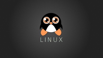 Уязвимость в ядре Linux позволяет пользователю получить права root