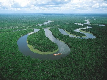 Через пять 5 лет в джунглях Амазонки нашли пропавшего жителя Канады