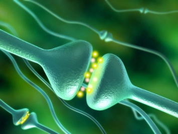 В Стэнфордском университете создали искусственный синапс