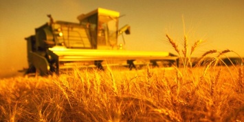 Аграрии Луганщины радуют успехами. Собран богатый урожай зерновых