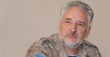 Жебривский назвал поездку Савченко в ДНР «работой во вред Украине»