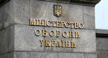 Оскорбившую волонтеров сотрудницу Минобороны Украины уволили