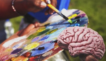 Сканирование мозга в будущем поможет детям выбрать профессию