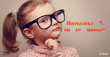 Оказывается, интеллект детям передается от мамы!