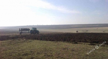 Незаконная распашка заповедной степи продолжается в Одесской области