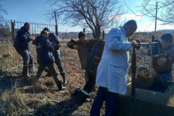 На Николаевщине мужчина упал в колодец глубиной в пять метров и смог выжить (ФОТО)