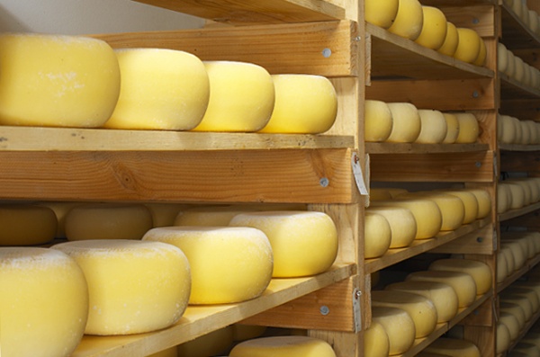 Экспорт украинских сыров упал в четыре раза