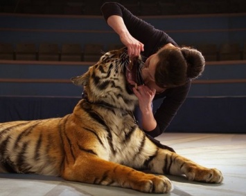 Актриса Ольга Погодина рассказала, зачем сунула голову в пасть тигру