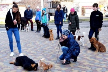 В Черноморске юные кинологи поздравили горожан с 8 марта (фото)