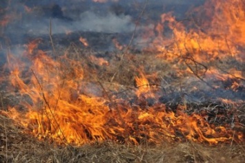 Спасателям удалось не допустить возгорания северодонецких дач