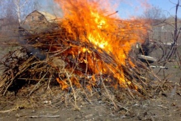 С начала марта за сжигание мусора на территории Чернигова экоинспекция составила шесть протоколов