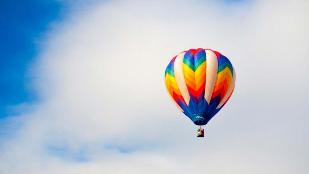 В США воздушный шар приземлился на ЛЭП, пострадали три человека