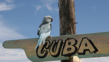 Куба оказалась не готовой к принятию туристов