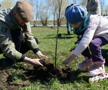 В парке «Голосеевский» планируют высадить 10 тысяч деревьев