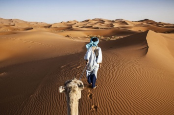 Археолог: к появлению Сахары привела деятельность человека
