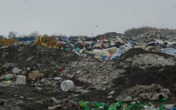 Проблема львовского мусора: в сети уже придумали сценарий комедии