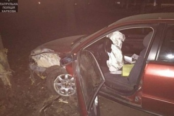 В Харькове пьяный водитель на "Audi", убегая от "копов", врезался в дерево (ФОТО)
