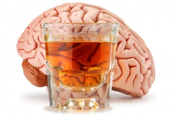 Ученые: Алкоголь полезен для памяти