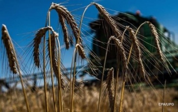 Турция приостановила импорт зерна из России