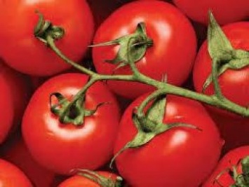 ЕИБ профинансирует запуск линии по переработке томатов в Украине